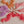 Maxi Longline Chain Tassel Floral Lace Statement Drop Earrings