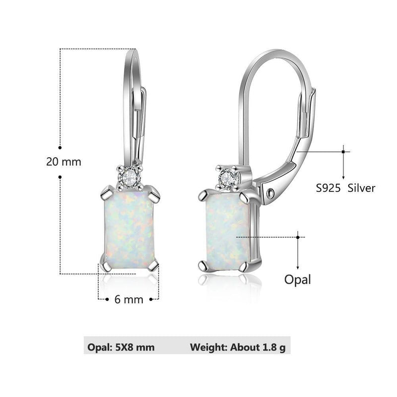 Elegant Sterling Silver Dangle Earrings with White Opal and Sparkling CZ Accents - Lucid Fantasy 